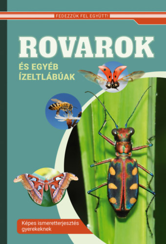 Rovarok és egyéb ízeltlábúak akciós termékkép 1