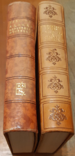 Trócsányi Zoltán - Nádai Pál: Kirándulás a magyar múltba + A lakás berendezés művészete antikvár