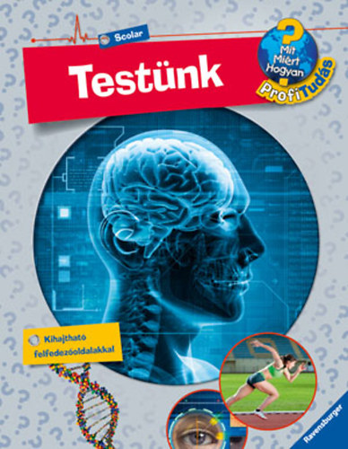 Andrea Schwendemann: Testünk antikvár