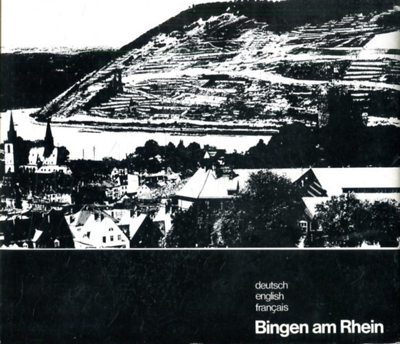 Bingen am Rhein antikvár