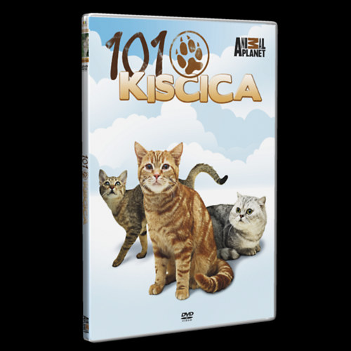 101 Kiscica - DVD DVD