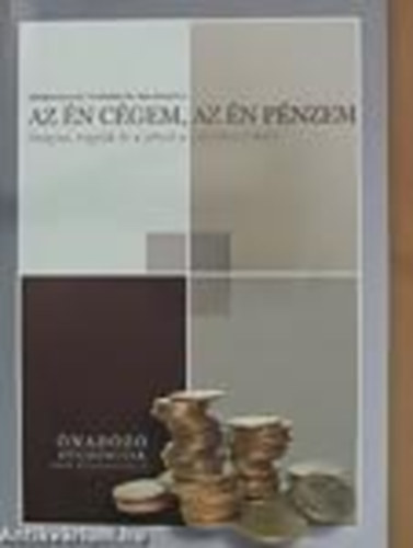 Böröczkyné Verebélyi Zsuzsanna: Az én cégem, az én pénzem antikvár