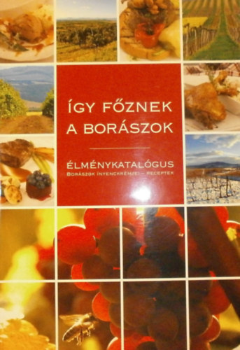 Őszy-Tóth Gábriel: Így főznek a borászok (Élménykatalógus) antikvár