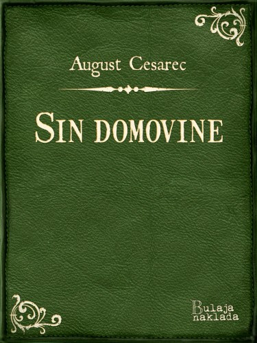 August Cesarec: Sin domovine e-Könyv