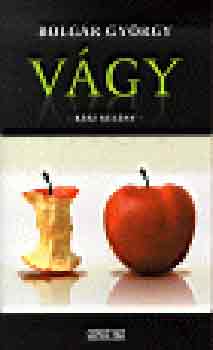 Bolgár György: Vágy - Kész regény antikvár