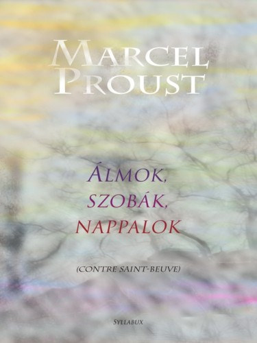 Marcel Proust: Álmok, szobák, nappalok e-Könyv