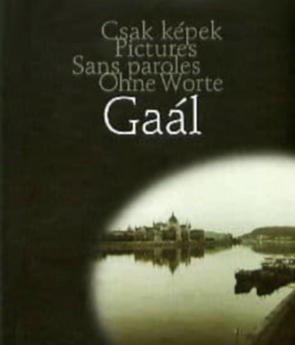 Gaál Zoltán: Gaál: Közterek (magyar-angol-francia-német) antikvár