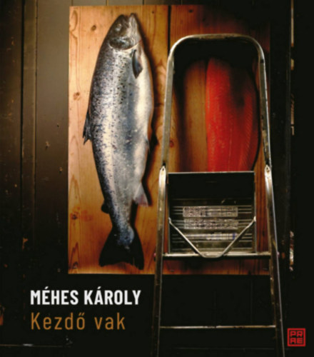 Méhes Károly: Kezdő vak könyv