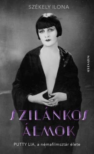Székely Ilona: Szilánkos álmok e-Könyv