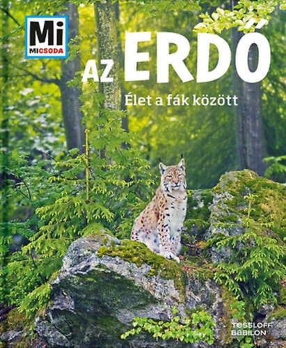 Anette Hackbarth: Az erdő - Élet a fák között (Mi micsoda) antikvár