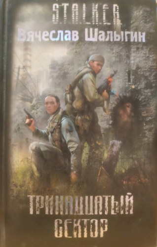 Vjacseszlav Salingyin: Тринадцатый сектор (Tizenharmadik szektor) - S.T.A.L.K.E.R. antikvár