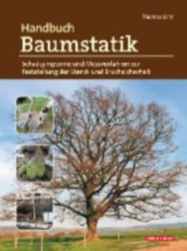 Sinn, Thomas: Handbuch Baumstatik idegen