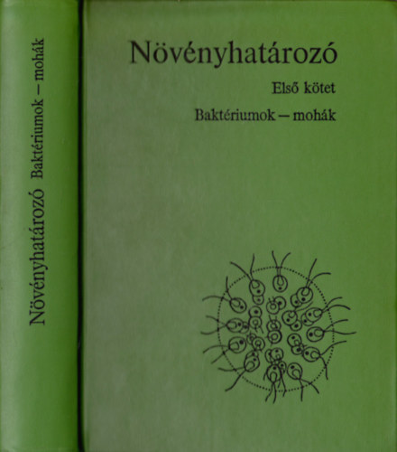 Árokszállásy Zoltán; Bánhegyi József; Boros Ádám; Gallé László; Hortobágyi Tibor dr. (szerk.): Növényhatározó I.- Baktériumok, mohák antikvár