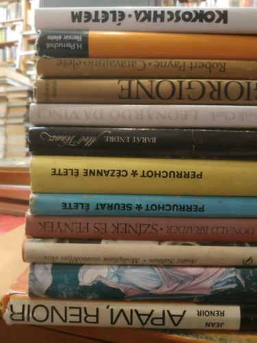 Perruchot, Barát Endre, Kenneth Clark, Láng György, André Salmon, Donald Braider, Robert Payne, Jean Renoir: 12 db festészet: Giorgione; Caravaggio élete; Renoir élete; Életem; Apám, Renoir; Primavera; Modigliani szenvedélyes élete; Színek és fények; Seurat élete; Cézanne élete; Alvó Vénusz; Leonardo Da Vinci antikvár