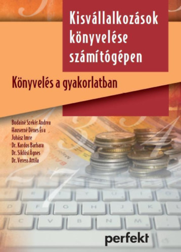 Budainé Szekér - Hauserné Dénes - Juhász - Kardos - Siklósi - Veress: Kisvállalkozások könyvelése a gyakorlatban - Könyvelés számítógépen antikvár