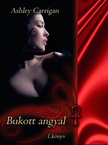 Ashley Carrigan: Bukott angyal e-Könyv