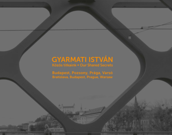 Gyarmati István: Közös titkaink - Our Shared Secrets könyv