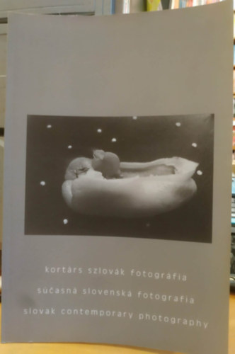 Václav Macek: Kortárs szlovák fotográfia - súcasná slovenská fotografia - slovak contemporary photography antikvár