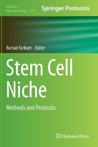 Stem Cell Niche idegen