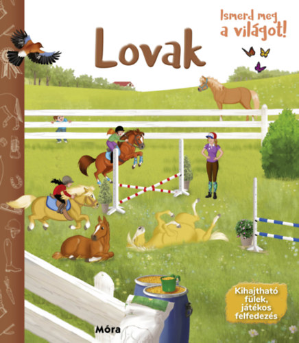 Ismerd meg a világot! - Lovak könyv