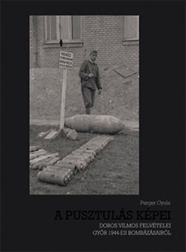 Perger Gyula: A pusztulás képei könyv