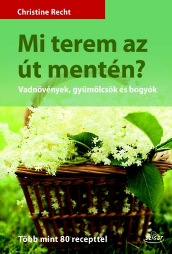 Christine Recht: Mi terem az út mentén? antikvár