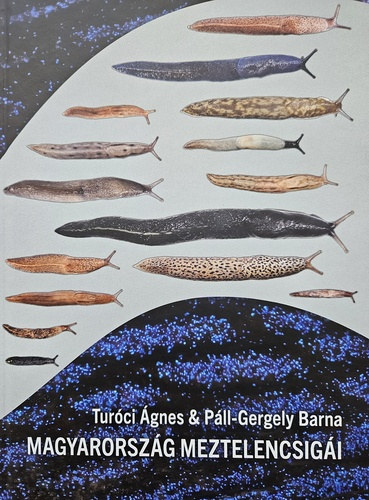 Turóci Ágnes, Páll-Gergely Barna: Magyarország meztelencsigái antikvár