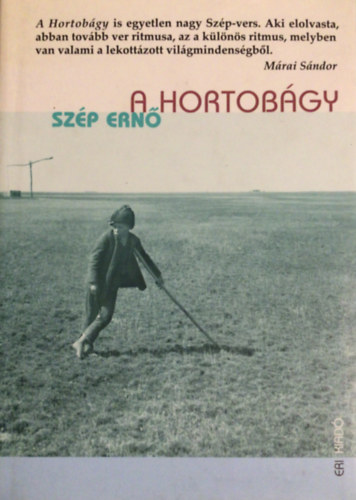 Szép Ernő: A Hortobágy antikvár