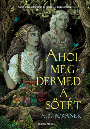 A. B. Poranek: Ahol megdermed a sötét e-Könyv