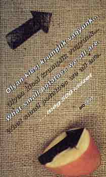 Salamon Gábor-Zalotay Melinda: Olyan kicsi krumplik vagyunk... még 500 idézet antikvár