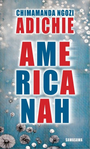 Chimamanda Ngozi Adichie: Americanah e-Könyv