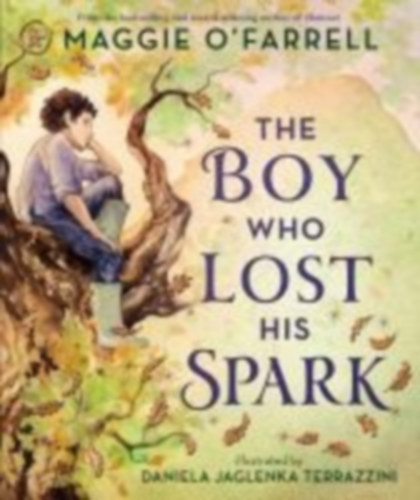 O'Farrell, Maggie: The Boy Who Lost His Spark idegen