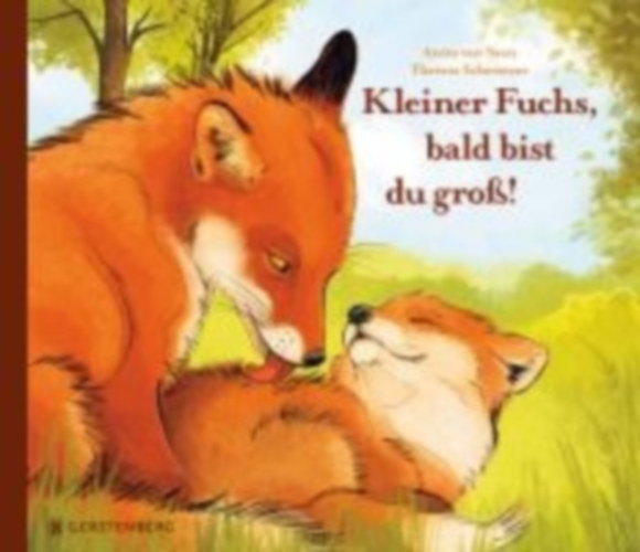 Saan, Anita van: Kleiner Fuchs, bald bist du groß! idegen