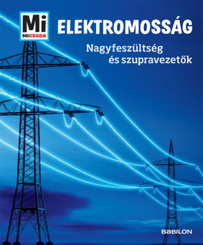 Laura Hennemann: Elektromosság könyv