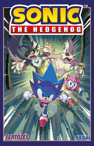 Ian Flinn: Sonic the Hedgehog 4. - Fertőzés könyv
