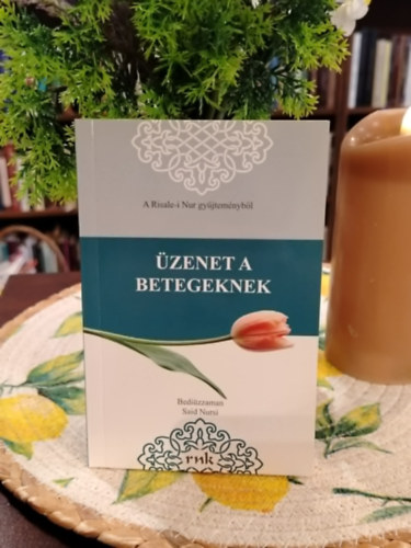 Bediuzzaman Said Nursi: Üzenet a betegeknek antikvár