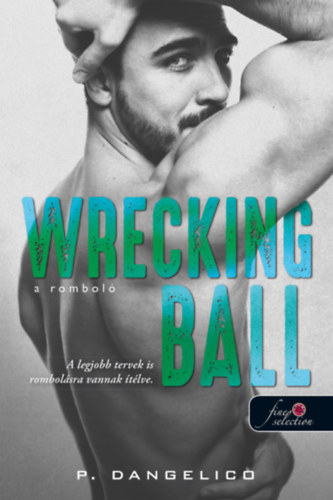 P. Dangelico: Wrecking Ball - A romboló antikvár