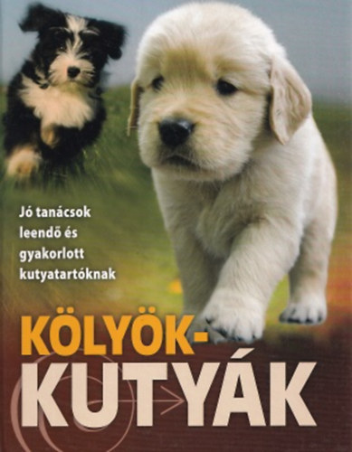 Dönsz Judit - Márián Katalin - Dr. Csürkéné Tóth Dóra: Kölyökkutyák antikvár