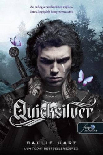 Quicksilver - kemény kötés akciós termékkép 1
