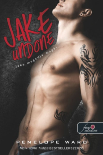 Penelope Ward: Jake megadja magát könyv