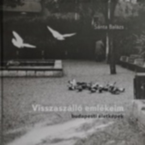 Sánta Balázs: Visszaszálló ​emlékeim budapesti életképek antikvár