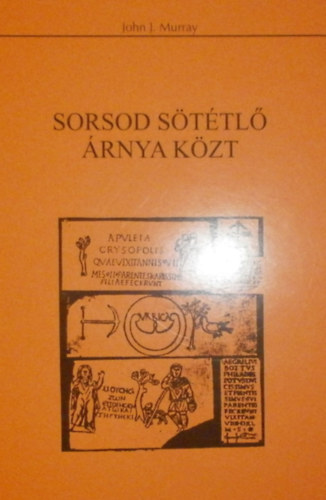 John J. Murray: Sorsod sötétlő árnya közt antikvár