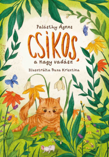 Palásthy Ágnes: Csíkos, a nagy vadász könyv