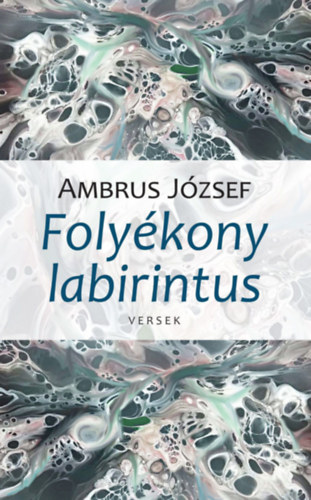Ambrus József: Folyékony labirintus antikvár
