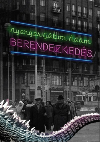 Nyerges Gábor Ádám: Berendezkedés könyv