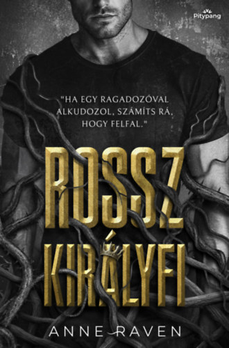 Anne Raven: Rossz királyfi könyv