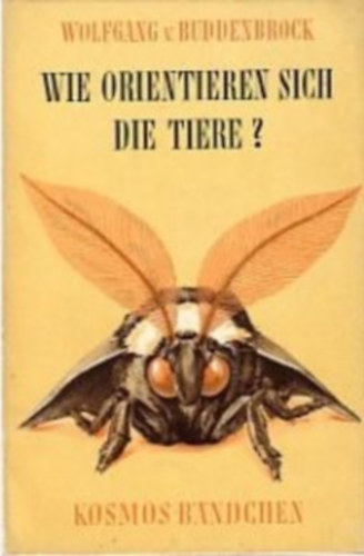 Buddenbrock: Wie orientieren sich die tiere? antikvár