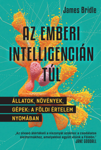 James Bridle: Az emberi intelligencián túl könyv
