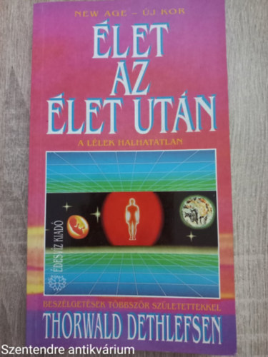 Thorwald Dethlefsen: Élet az élet után (A LÉLEK HALHATATLAN - BESZÉLGETÉSEK TÖBBSZÖR SZÜLETETTEKKEL) antikvár