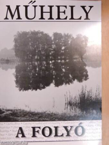 Rába György, Jász Attila, Ted Hughes, Bratka László, Jorge Luis Borges, Gergely Ágnes, Robert Lowell: Műhely 2005/6. könyv